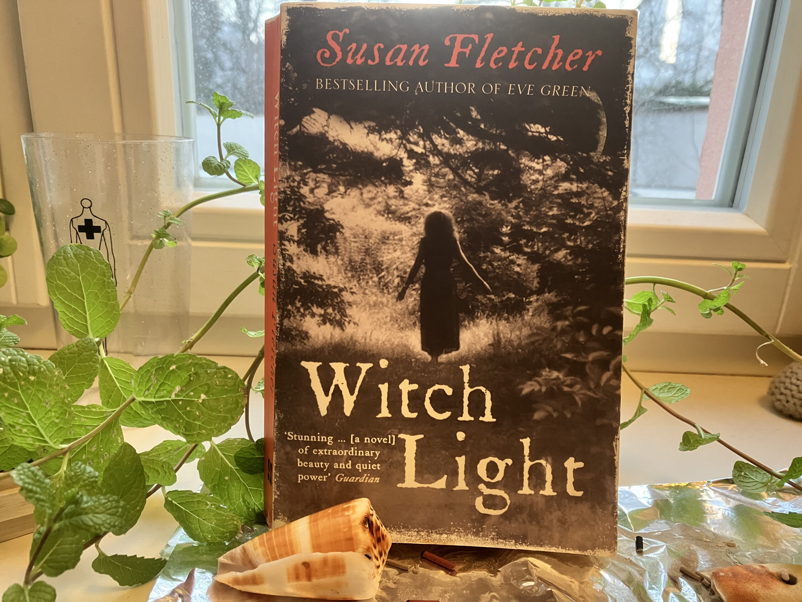 You are currently viewing Book Review: Witch Light by Susan Fletcher